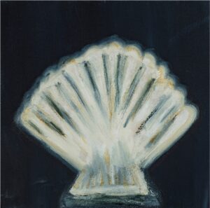 Seashell