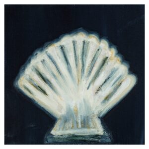 updated seashell (1) (Custom)