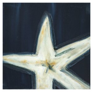 updated starfish (1) (Custom)